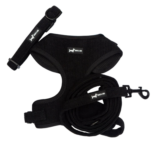 Midnight Cord 3-Piece Set
