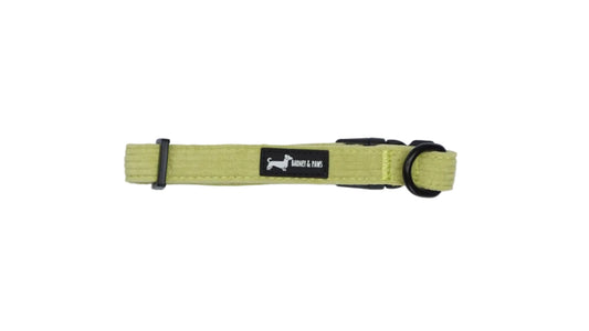 Pawsacchio Green Collar