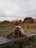 Load image into Gallery viewer, Bark Mac (Biscuit)
