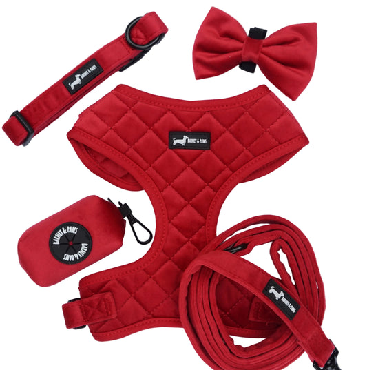 Red Strawberry Plush 5-Piece Set