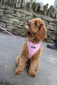 Load image into Gallery viewer, Herringbone Pink 5-Piece Set
