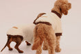 Load image into Gallery viewer, The Cosy Club Jumper
