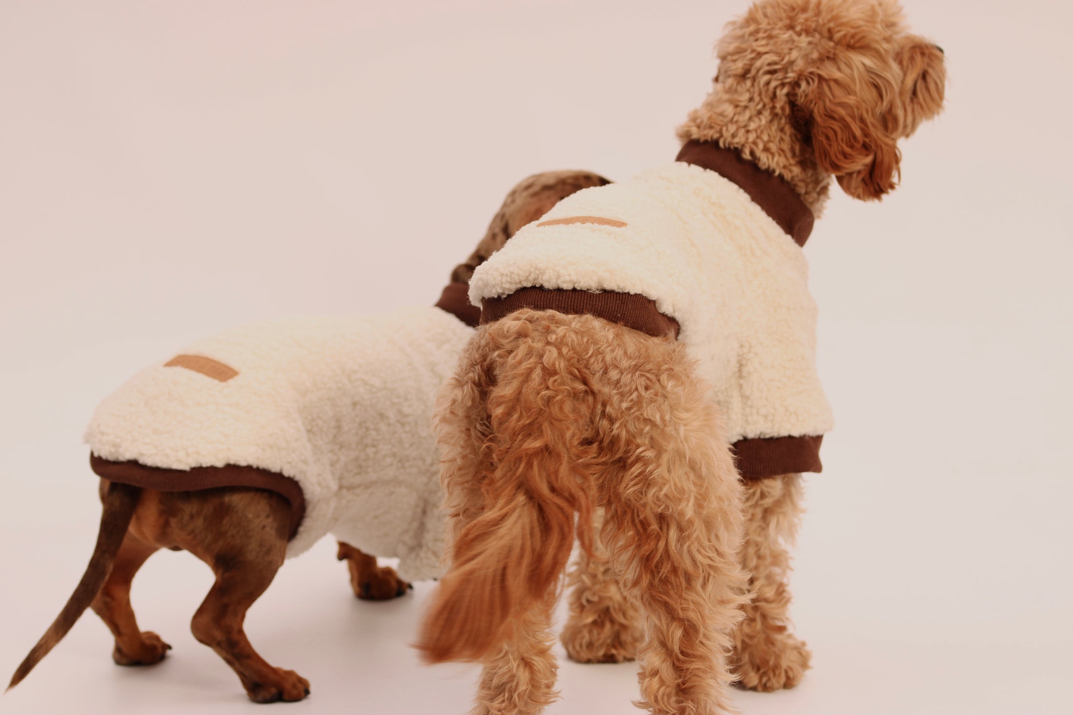The Cosy Club Jumper