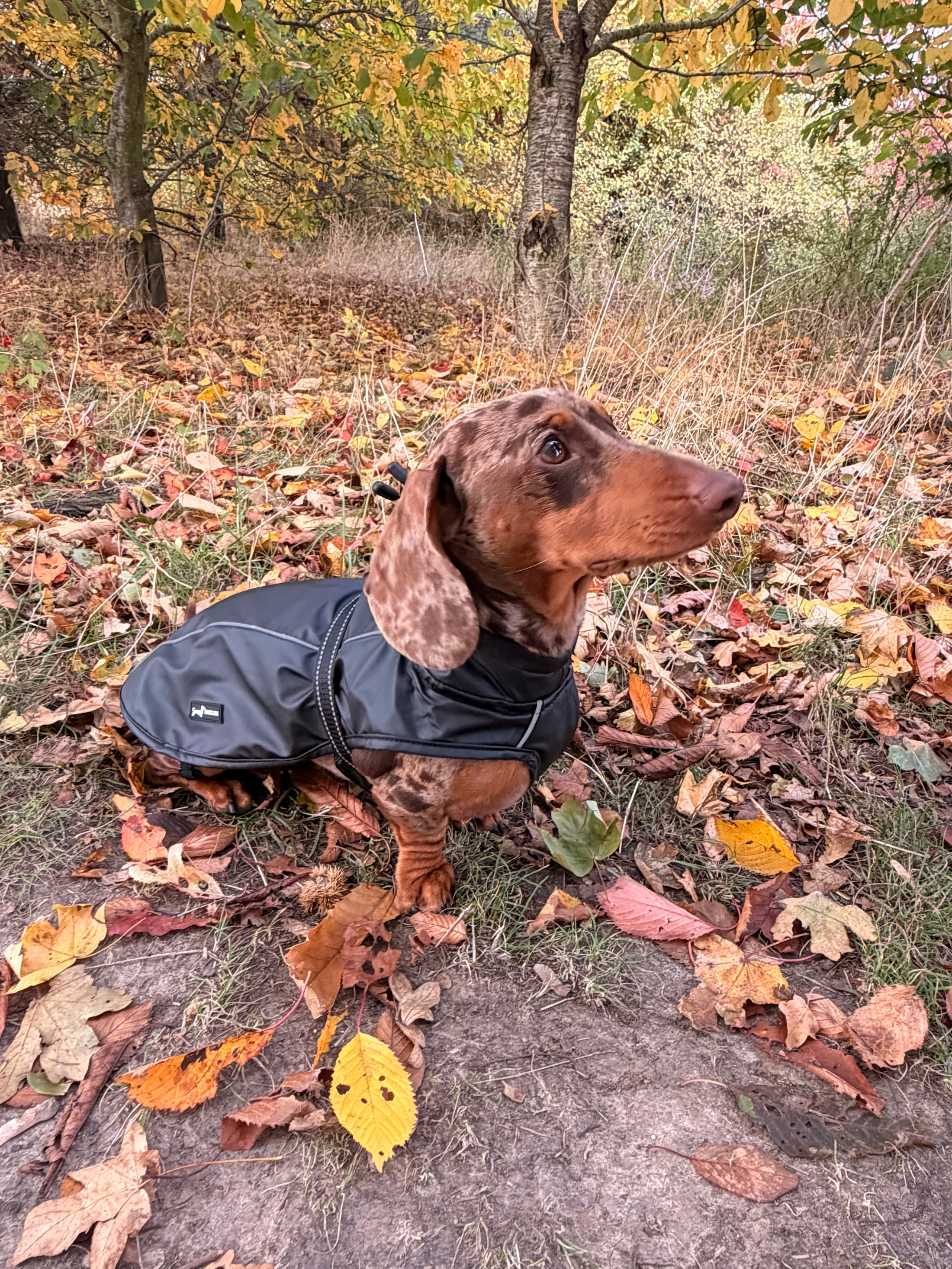 Bark Mac (Black)