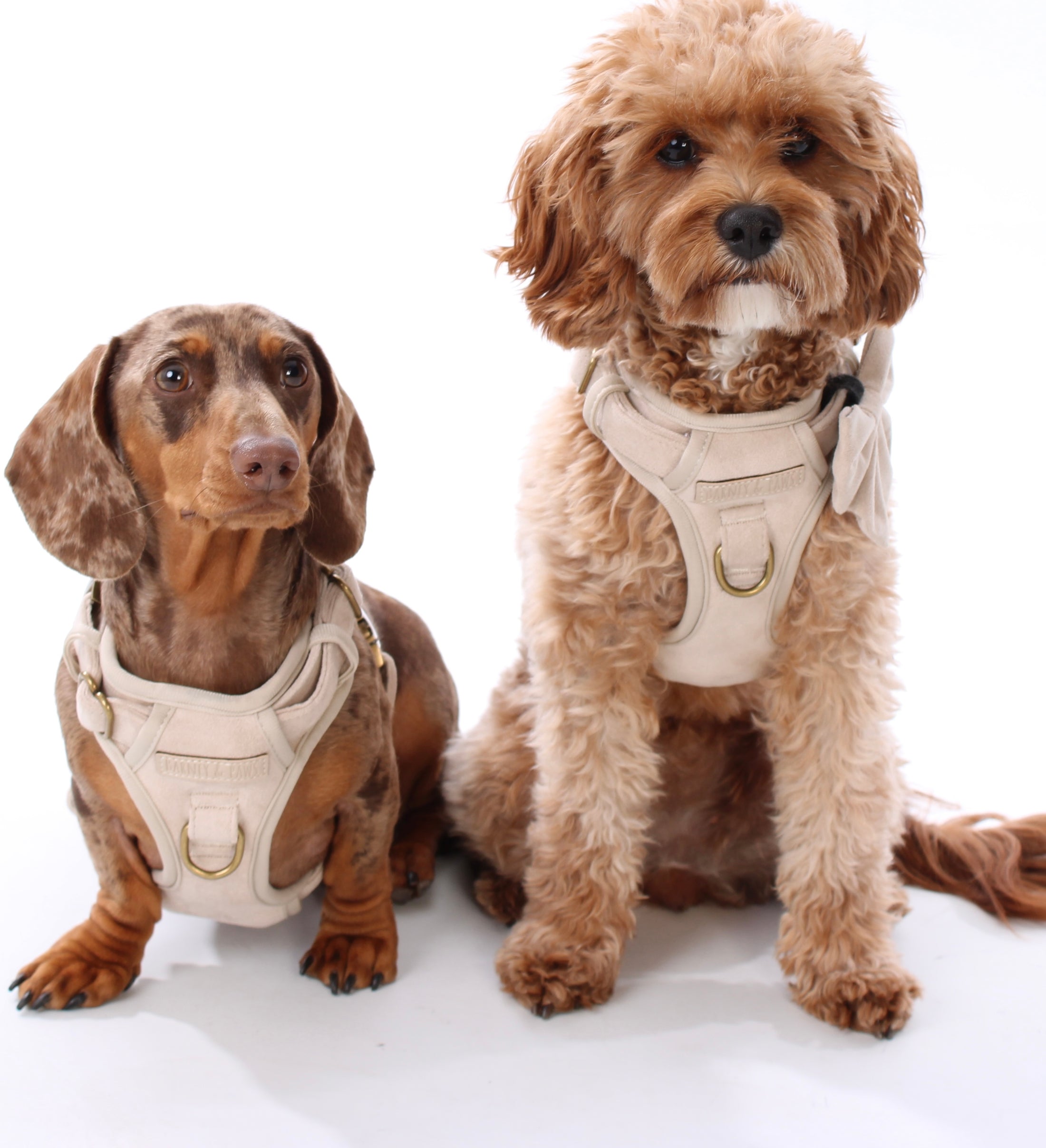 Stone Cloud 3-Click Neck Harness