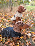 Load image into Gallery viewer, Bark Mac (Black)
