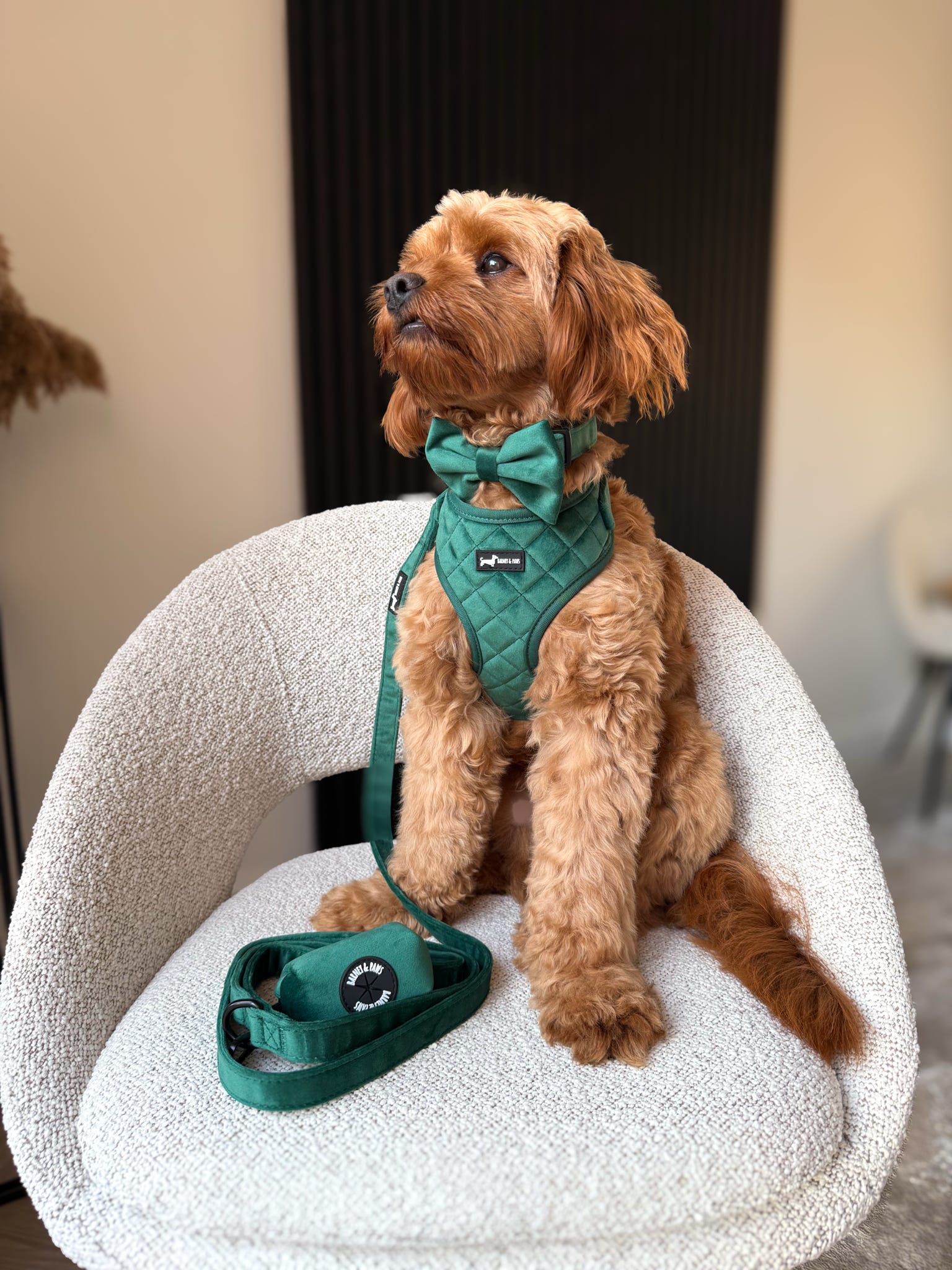 Green Velvet Forest Adjustable Neck Harness