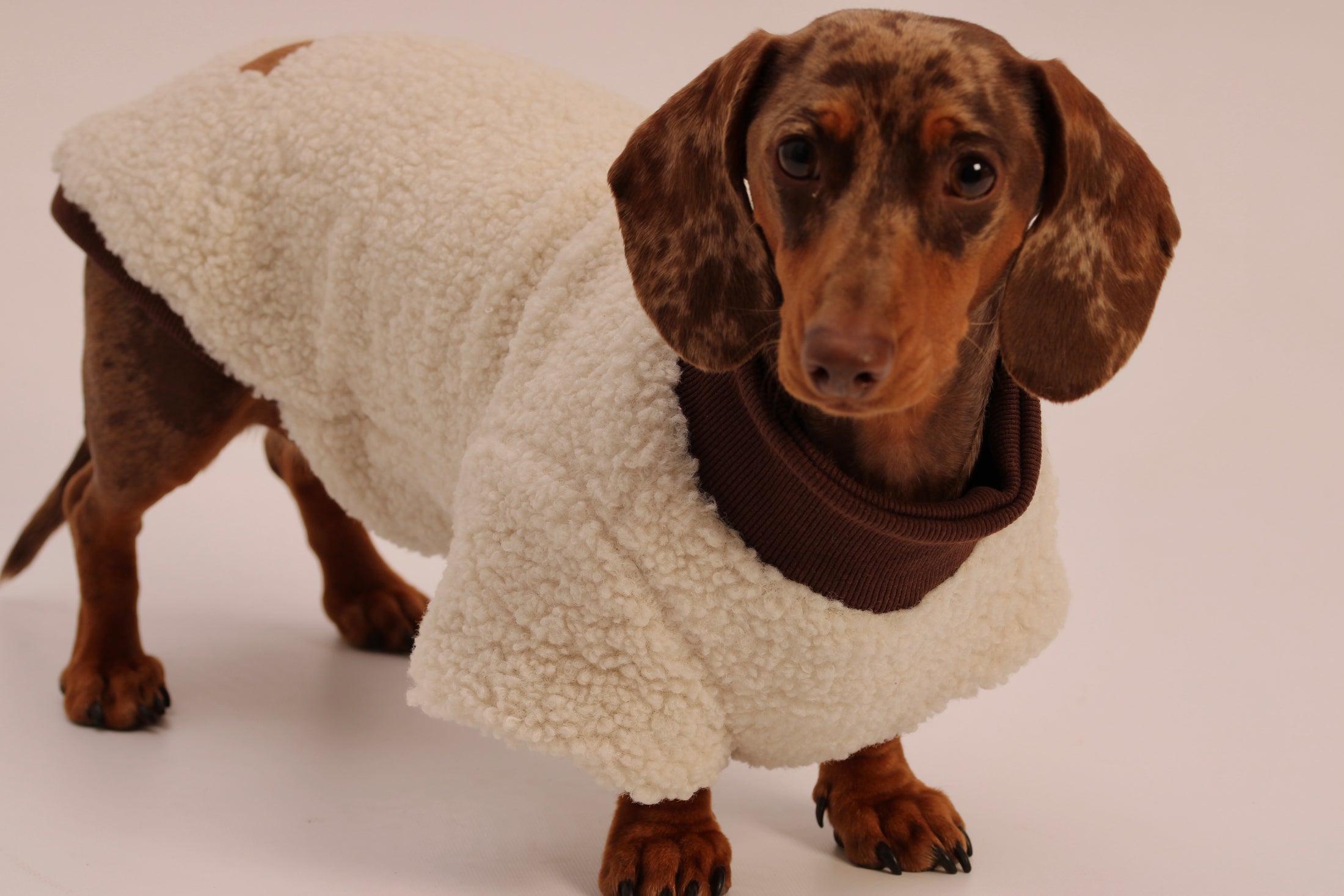 The Cosy Club Jumper