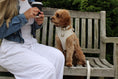 Load image into Gallery viewer, Oatmere 5-Piece Set
