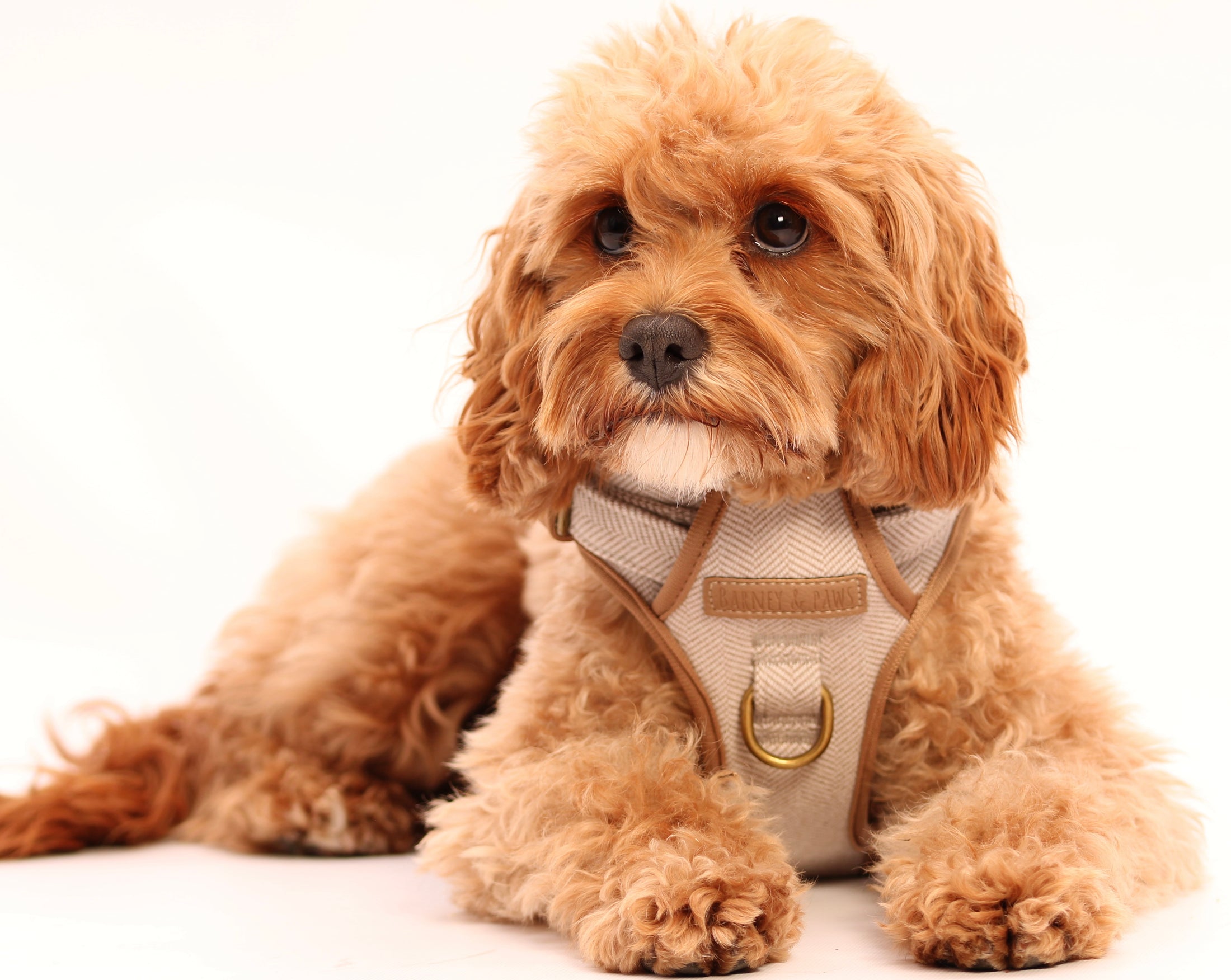 Heritage Three Piece Harness set 3-click