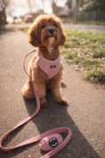 Load image into Gallery viewer, Dusty Rose Pink Adjustable Neck Harness
