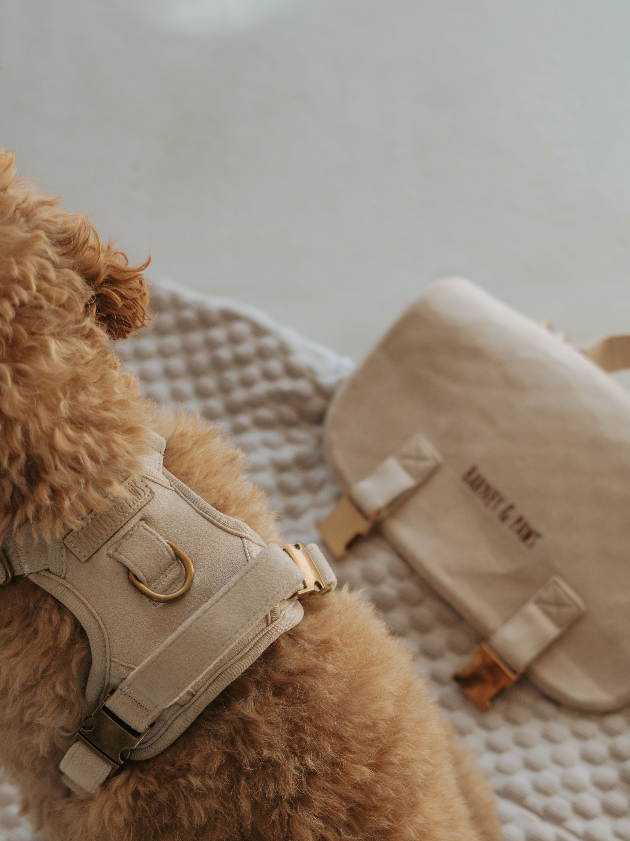 2-in-1 Cool & Settle Satchel