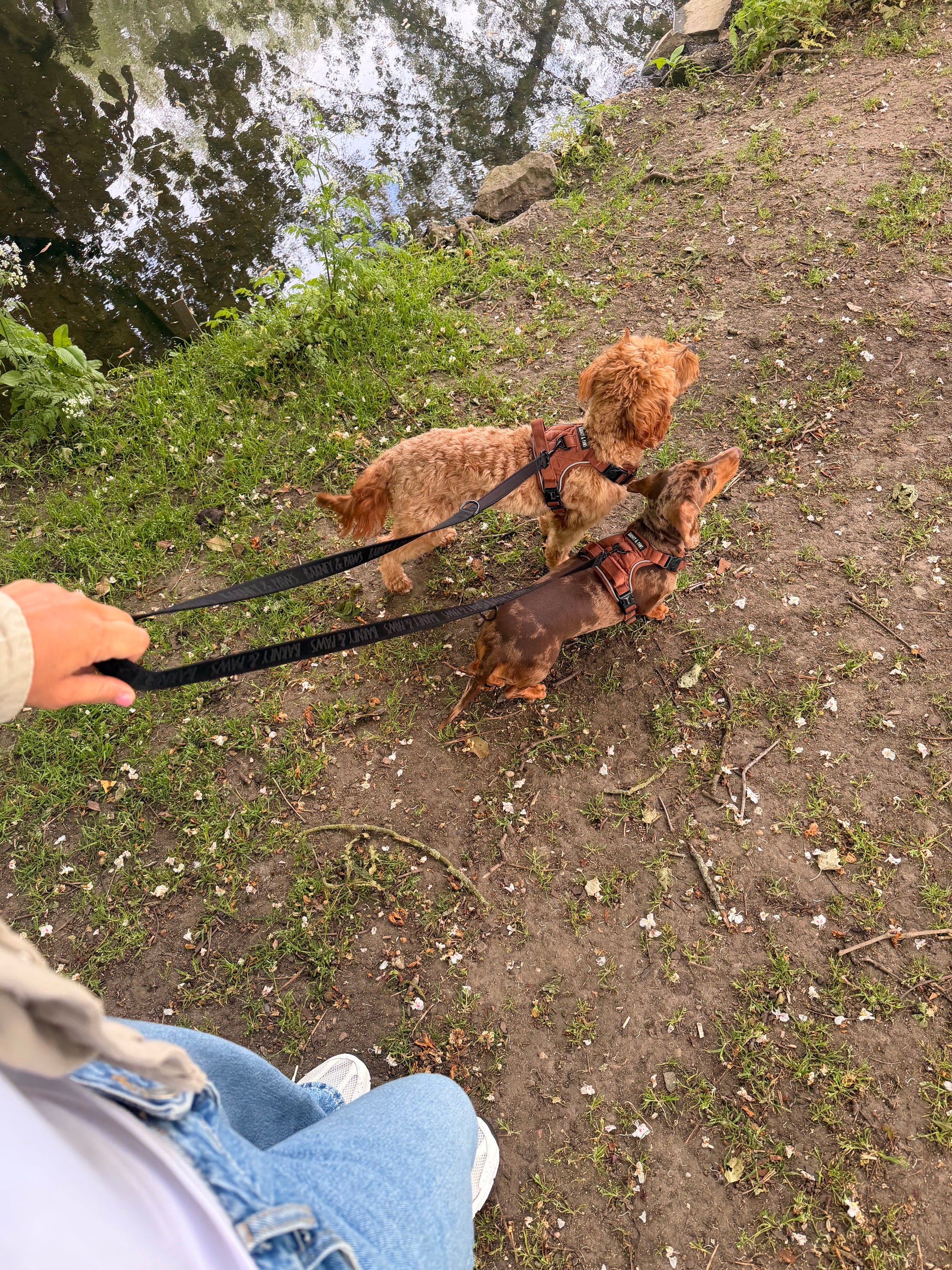 The Essential Multi Lead