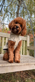 Load image into Gallery viewer, Bark Mac (Biscuit)
