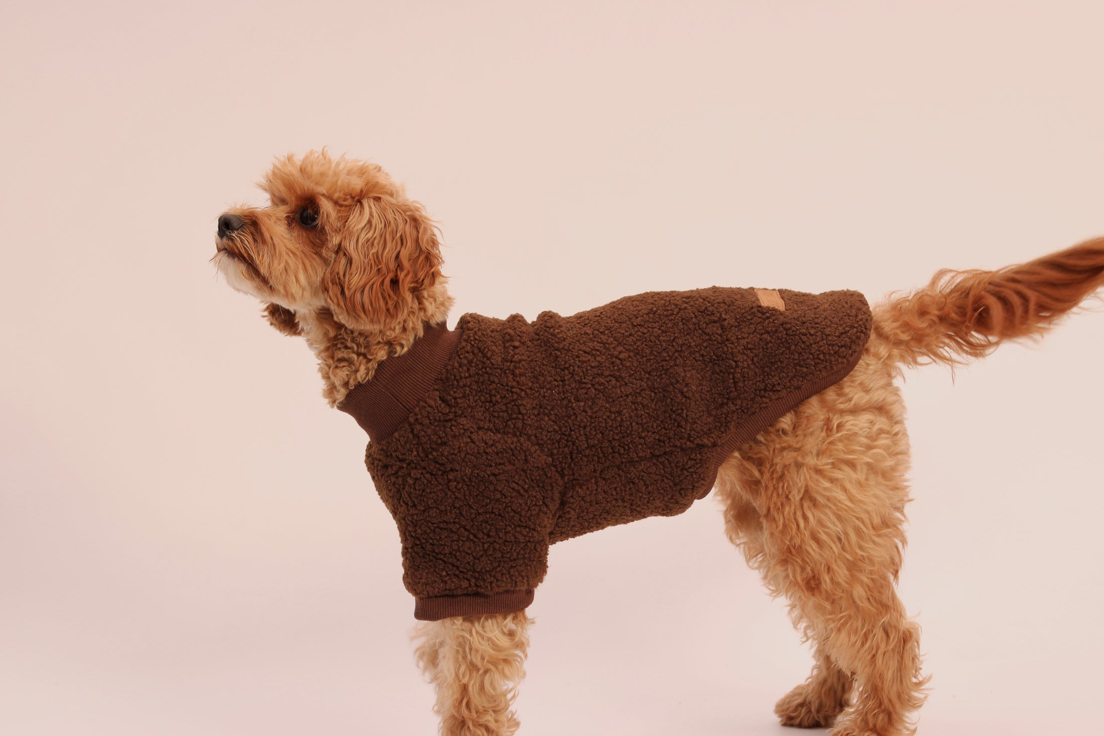 The Cosy Club Jumper