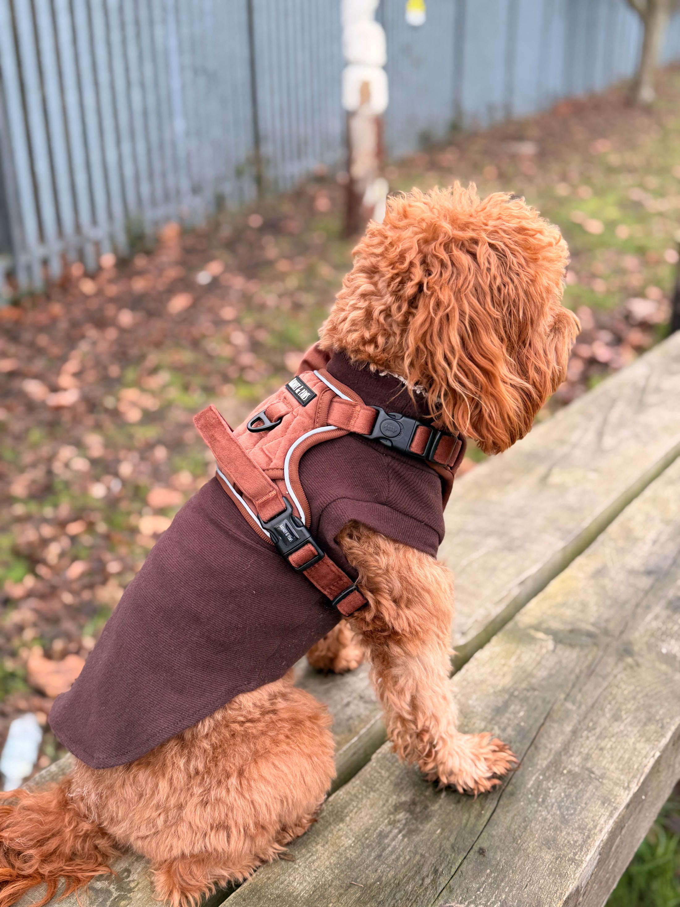 Berry Brown Dog T-Shirt