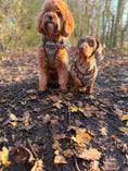 Load image into Gallery viewer, Country Classic 3-Click Neck Harness
