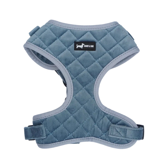 Lilac Blue Stitch Adjustable Neck Harness