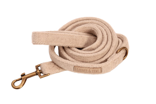 The Teddy Lead