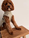 Load image into Gallery viewer, Bark Mac (Biscuit)
