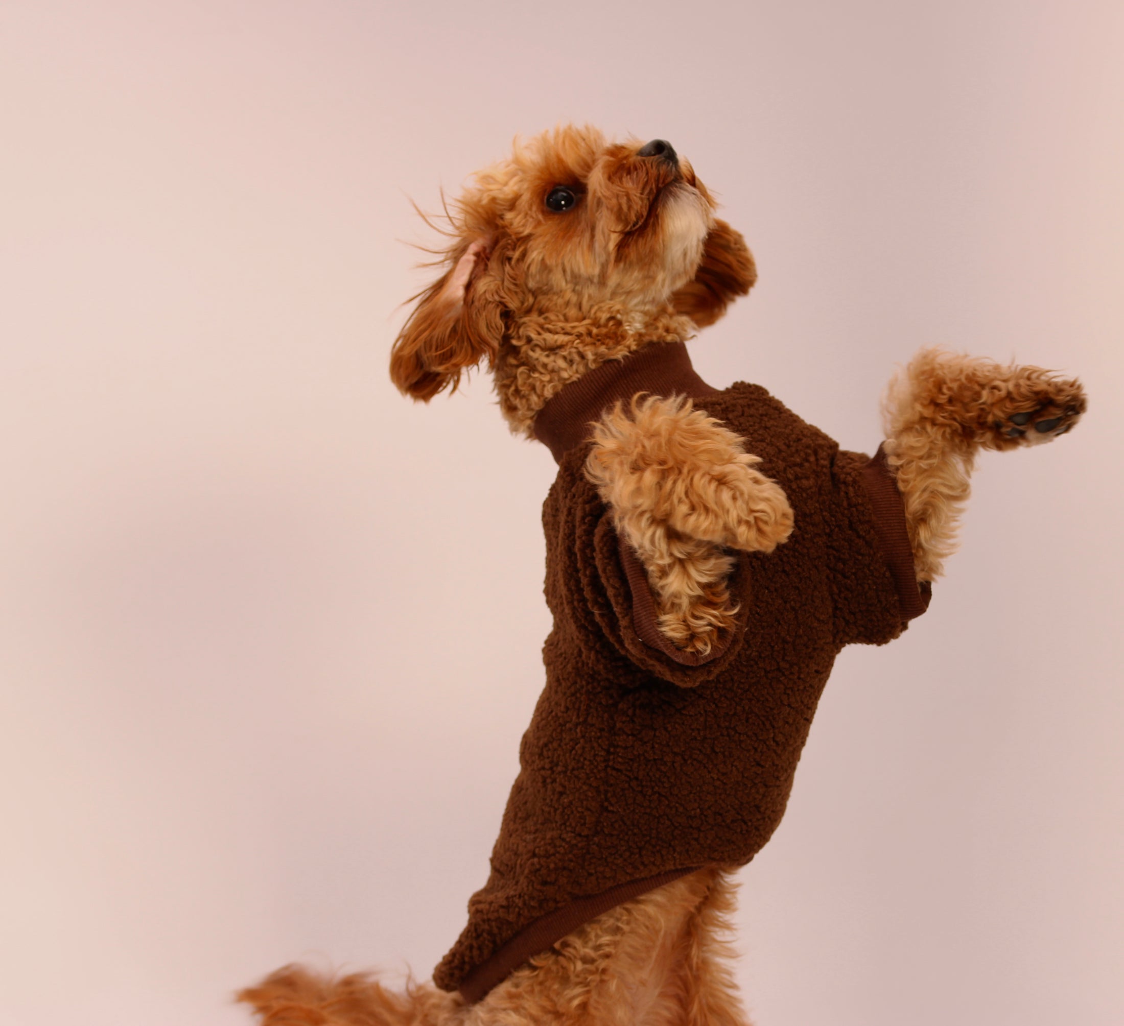 The Cosy Club Jumper