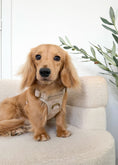 Load image into Gallery viewer, Stone Cloud 3-Click Neck Harness
