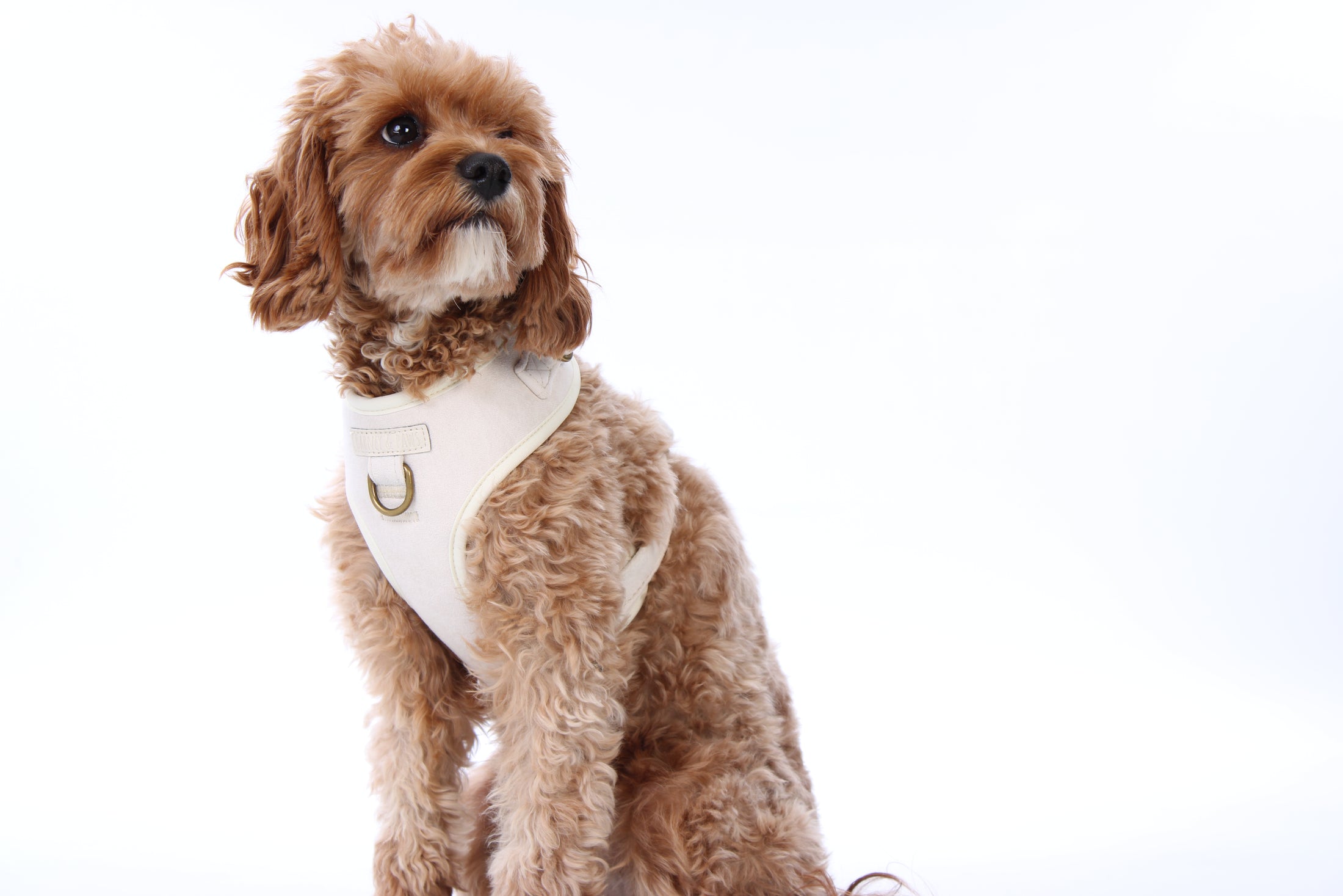 Oatmere Adjustable Neck Harness