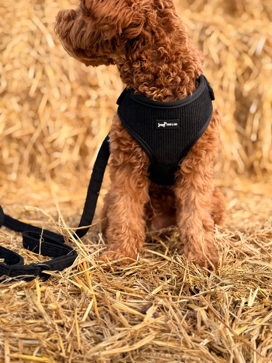 Midnight Cord Adjustable Neck Harness