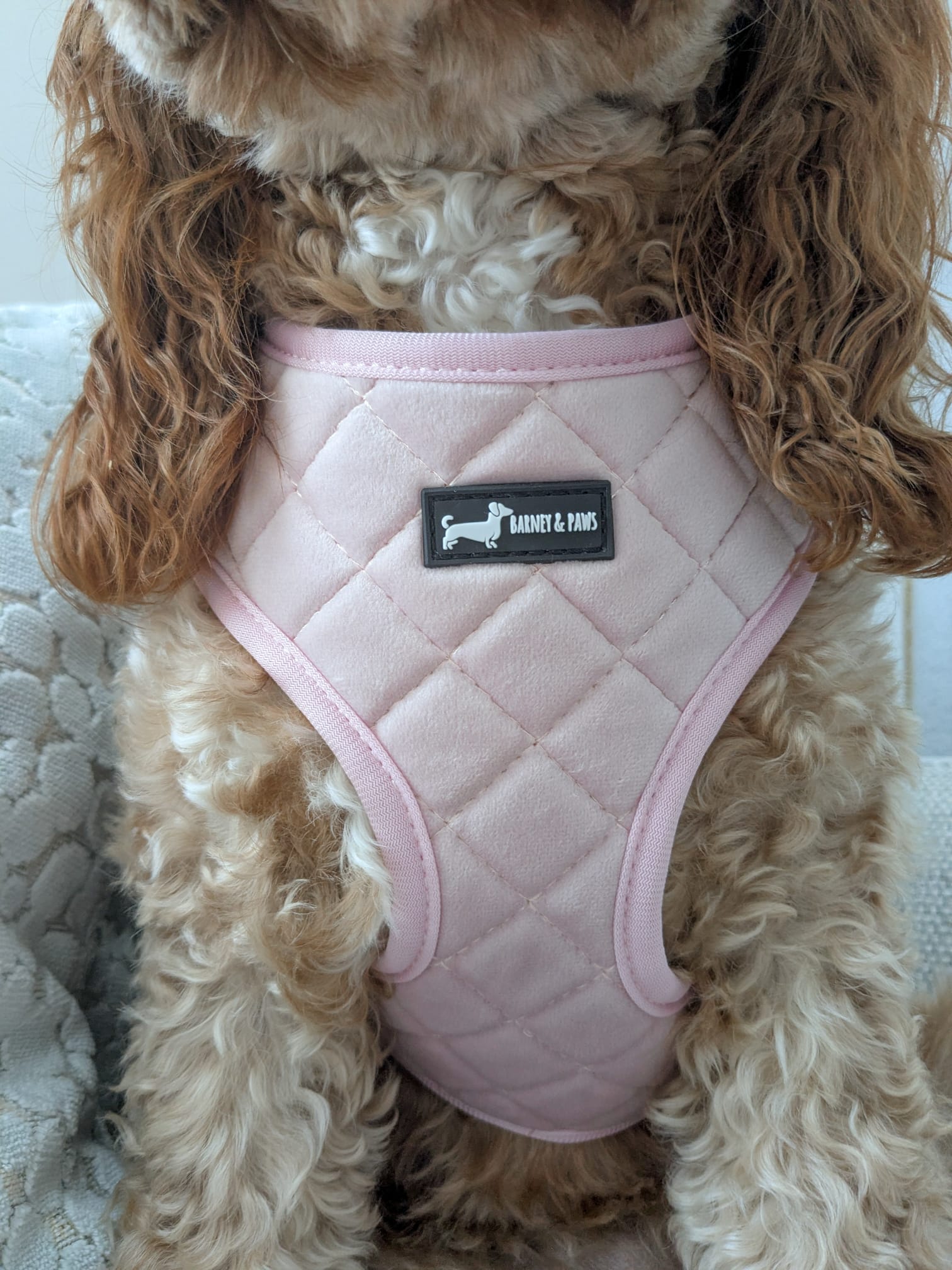 Velvet Petal Pink 5-Piece Set