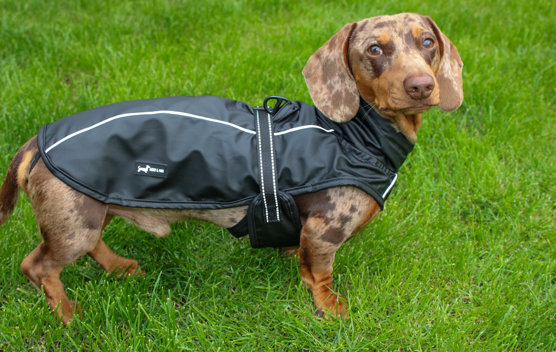 Bark Mac (Black)