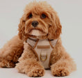 Load image into Gallery viewer, Heritage Three Piece Harness set 3-click

