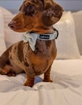 Load image into Gallery viewer, Herringbone Sage Collar

