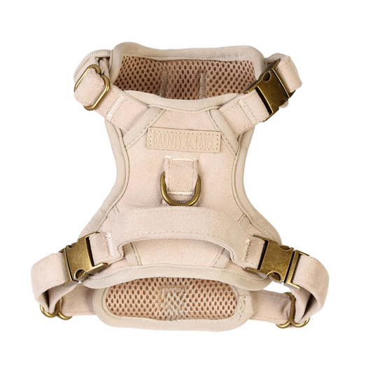 Stone Cloud 3-Click Neck Harness