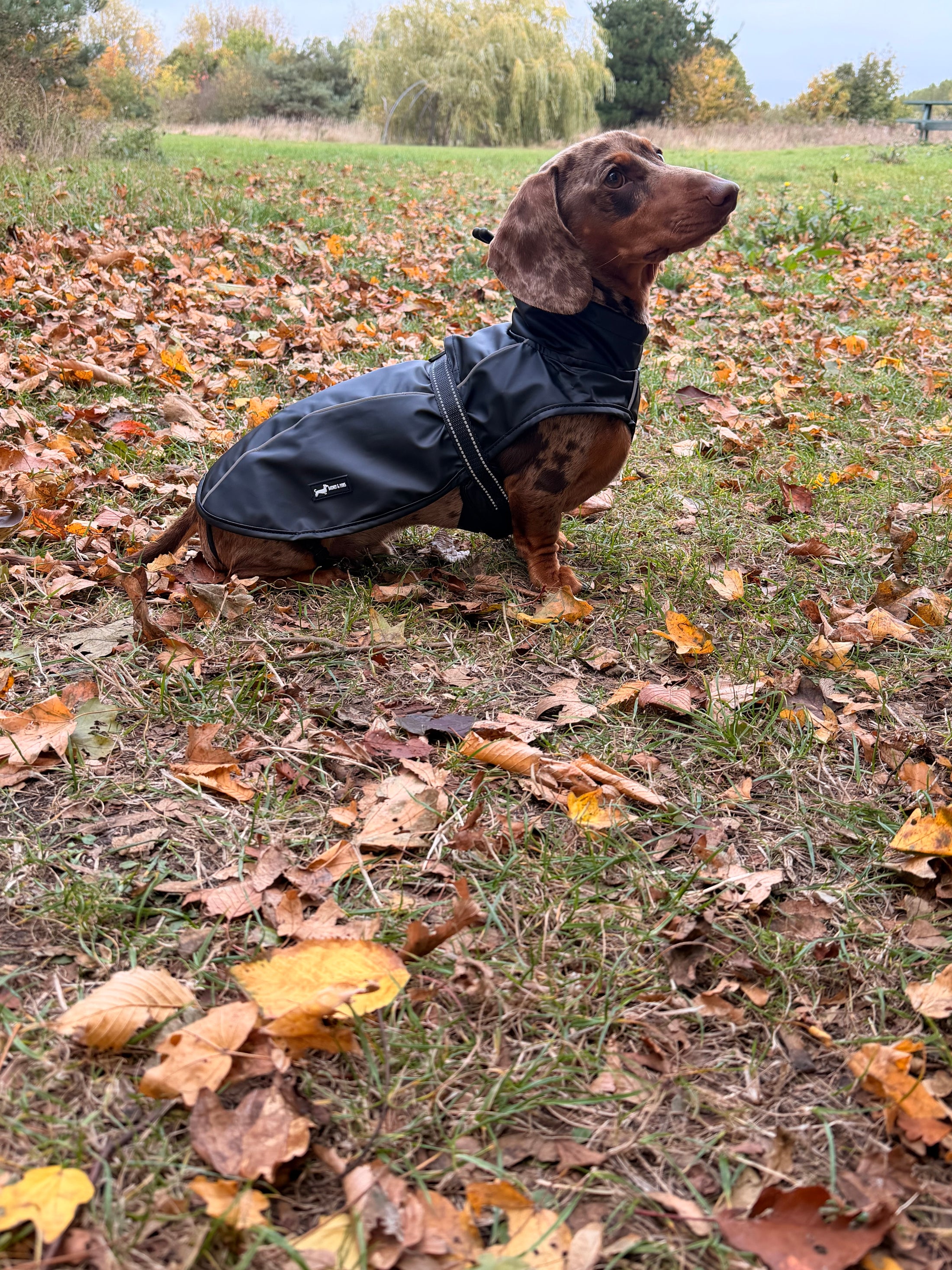 Bark Mac (Black)