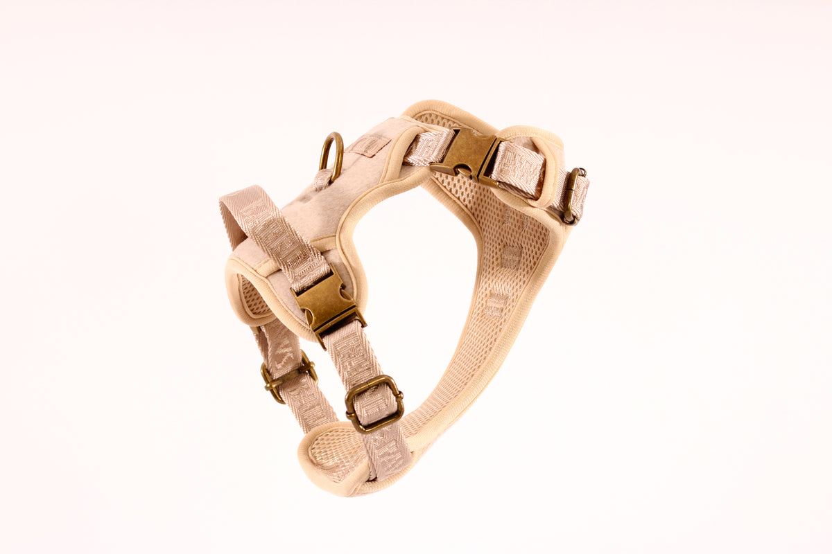 The Teddy 3-Click Harness