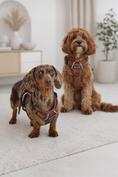 Load image into Gallery viewer, Quilted Chestnut 3-Piece Set
