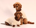 Load image into Gallery viewer, The Cosy Club Jumper
