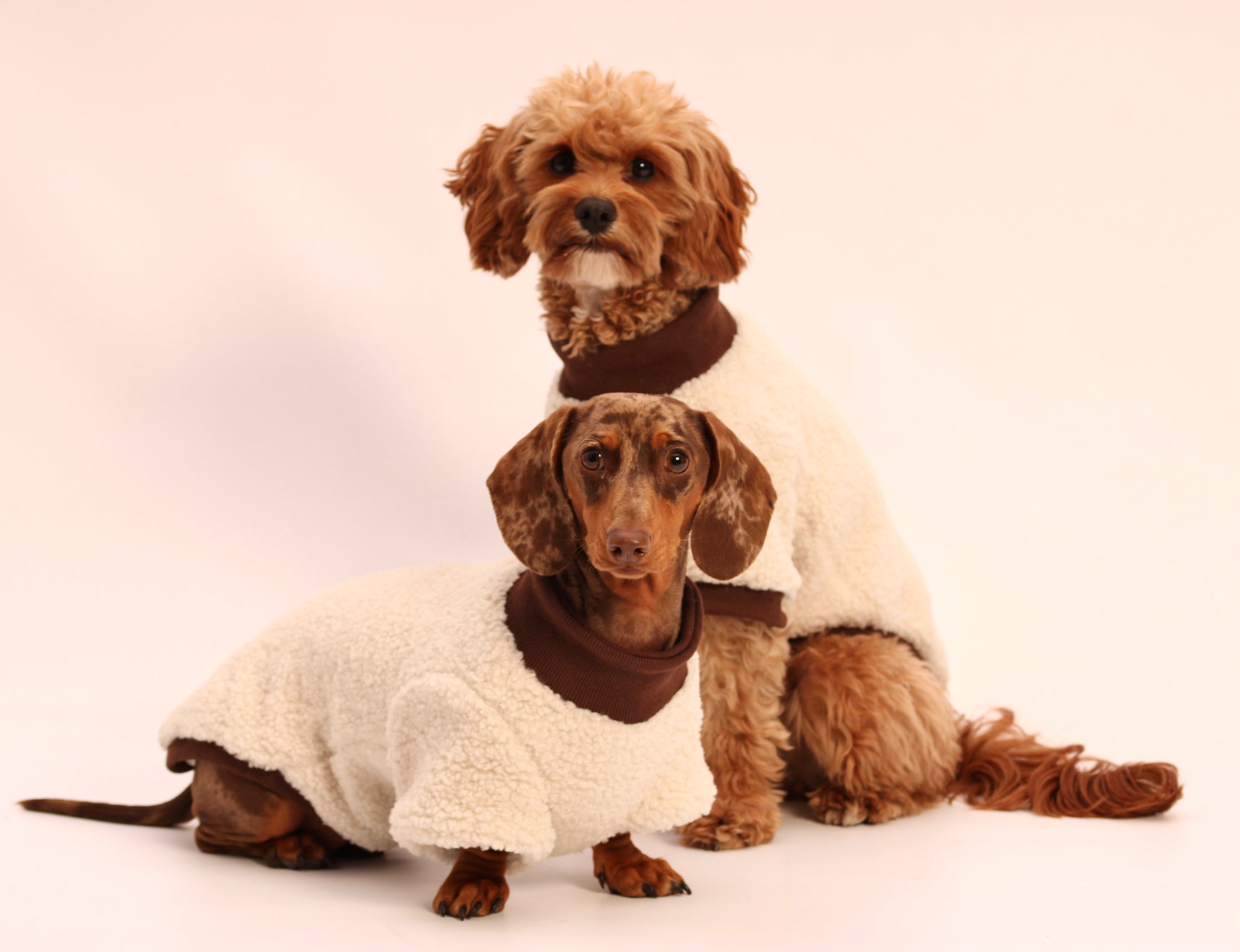The Cosy Club Jumper