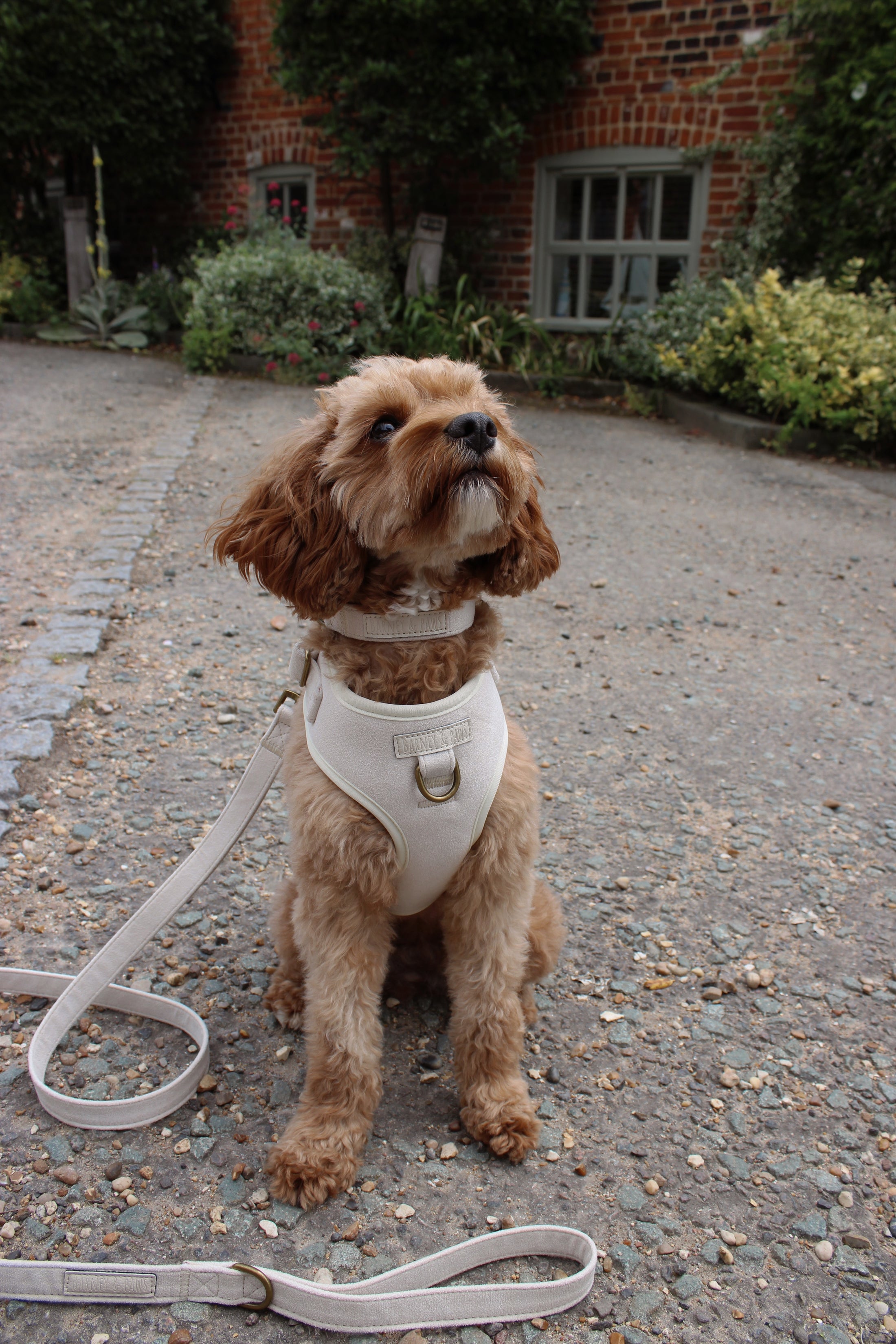 Oatmere Adjustable Neck Harness