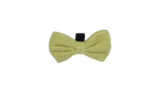 Pawsacchio Green Bow Tie