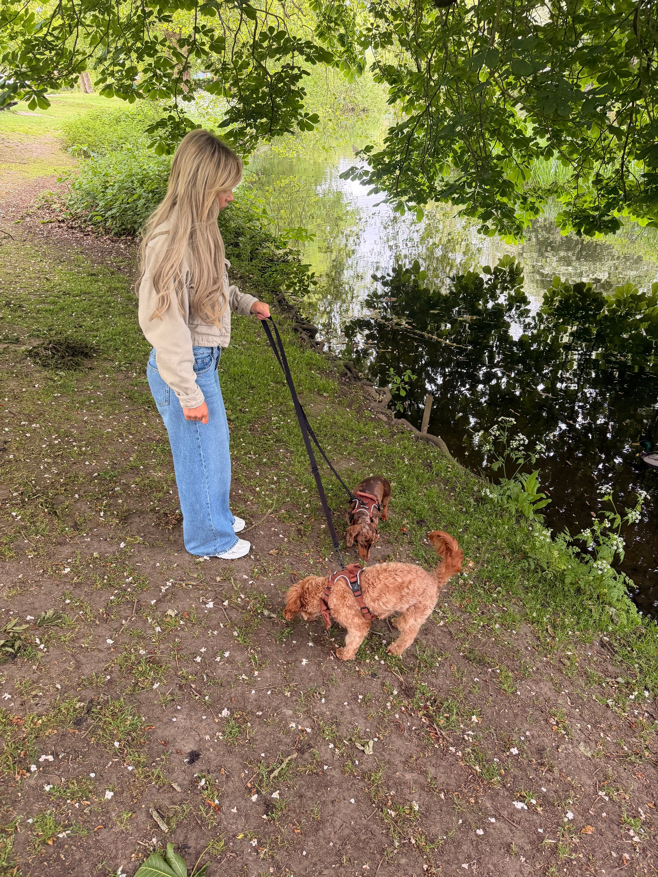 The Essential Multi Lead