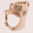 Load image into Gallery viewer, The Teddy 3-Piece Harness Set 3-click
