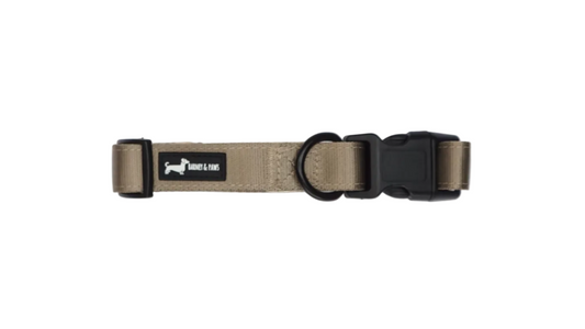 Olive Dune 3-Click Syle Collar