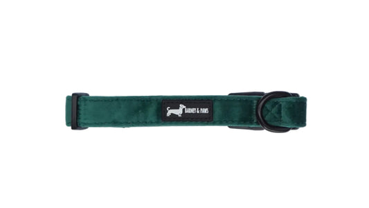 Green Velvet Forest Collar