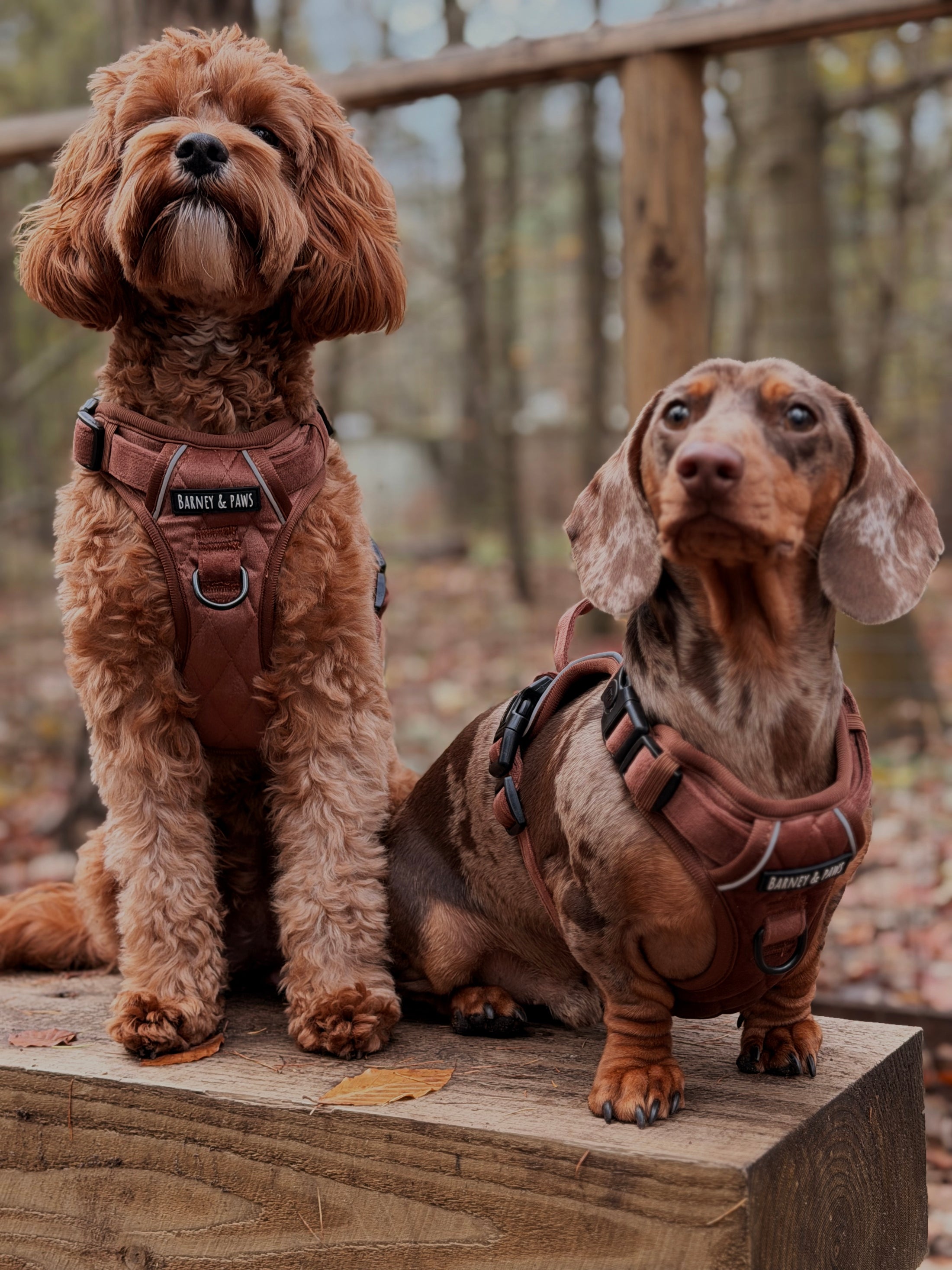 Quilted Chestnut 3-Piece Set