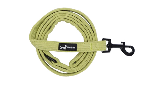 Pawsacchio Green Lead