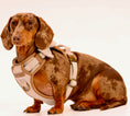 Load image into Gallery viewer, Heritage Three Piece Harness set 3-click
