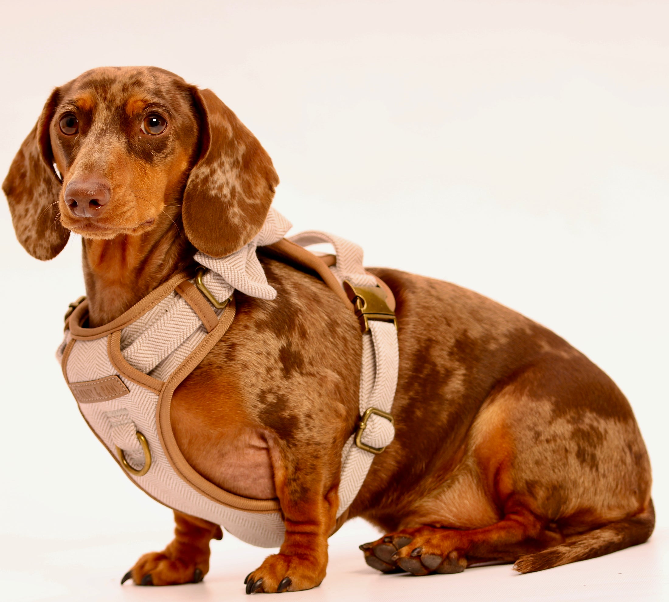 Heritage Three Piece Harness set 3-click