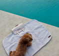 Load image into Gallery viewer, 2-in-1 Cool & Settle Satchel

