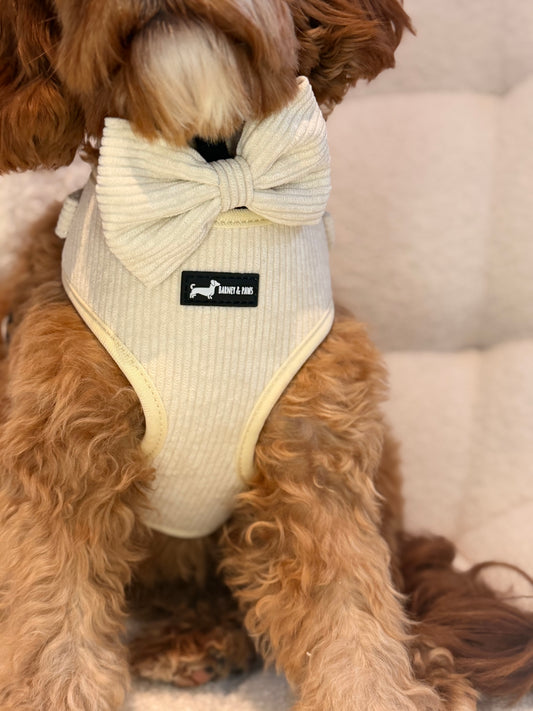 Oatmilk cord Bow Tie
